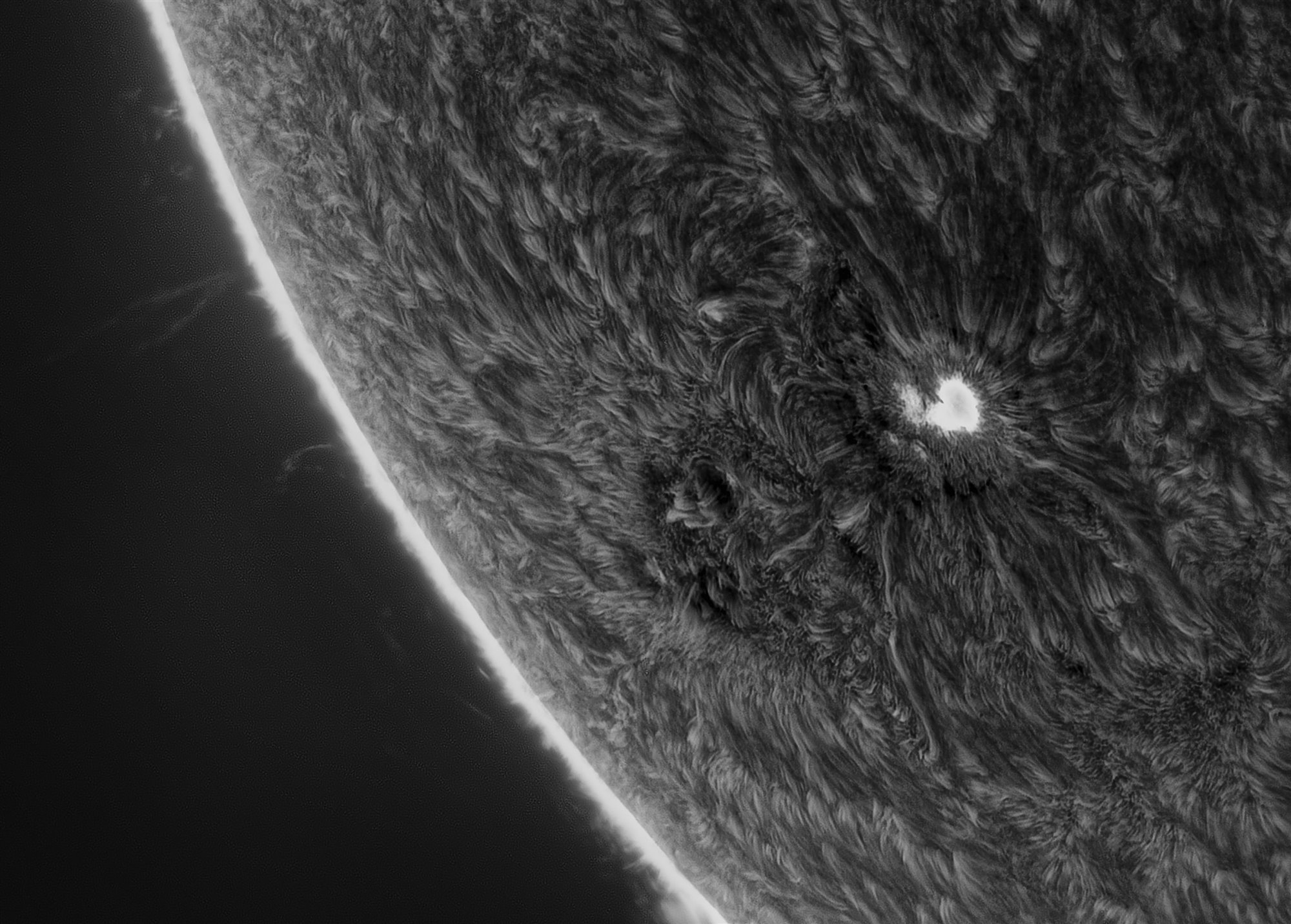 Sunspot Looking out into Space 