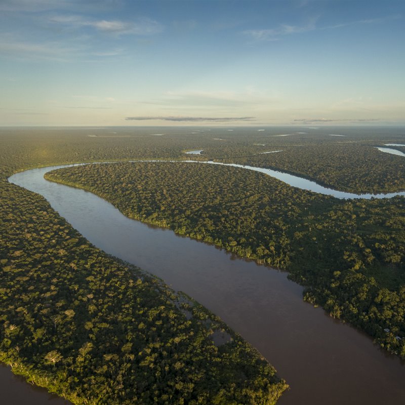 Los meandros del río Yavarí nutren la selva amazónica.