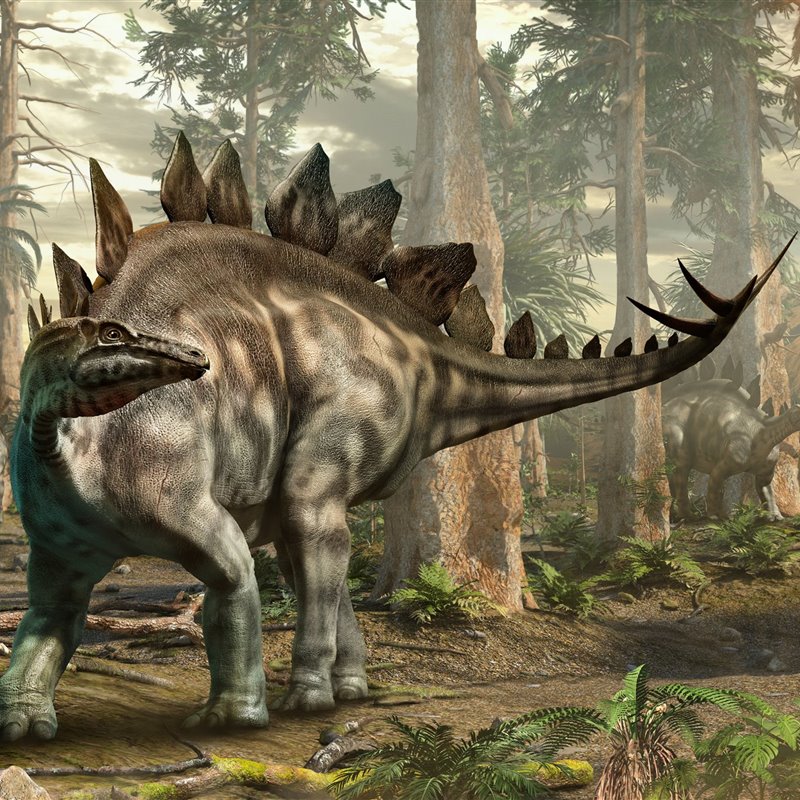 Los sistemas de defensa de los dinosaurios herbívoros contra sus depredadores