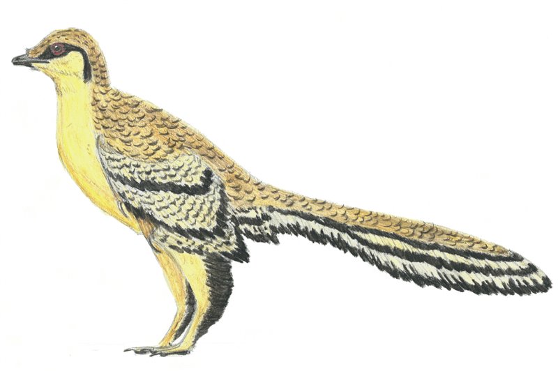 Ilustración de Aurornis xui, considerado "la primera ave"