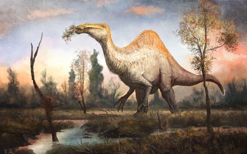 10 Dinosaurios De Aspecto Extra o y Por Qu Eran As 