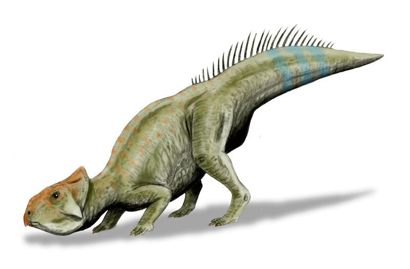 7 Dinosaurios Mas Inusuales Y Extraos De La Historia