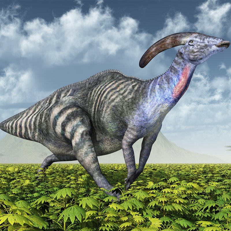 10 dinosaurios de aspecto extraño (y por qué eran así)