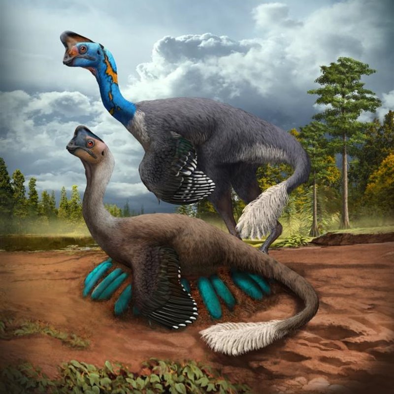 Representación artística de una pareja de oviraptores en su nido.