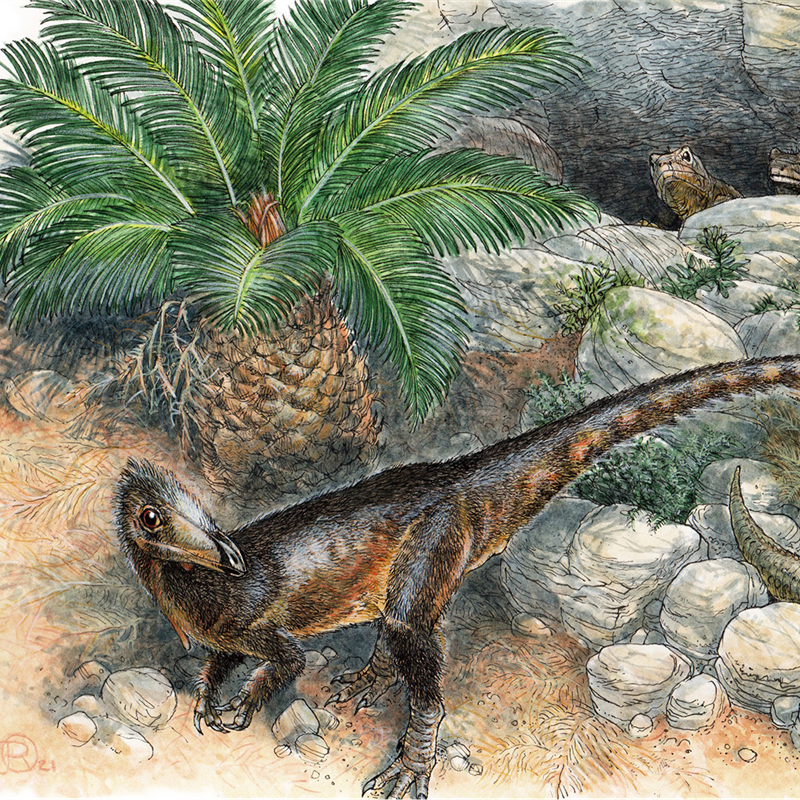 Descrito el dinosaurio carnívoro más antiguo del Reino Unido 