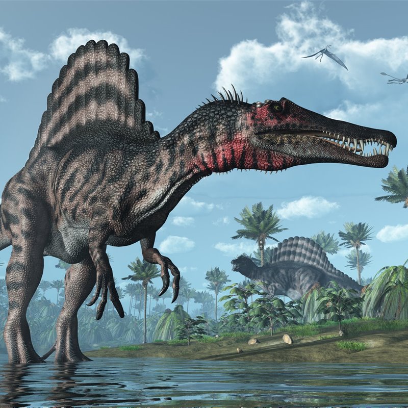 ¿Cuánto sabes sobre los depredadores prehistóricos?