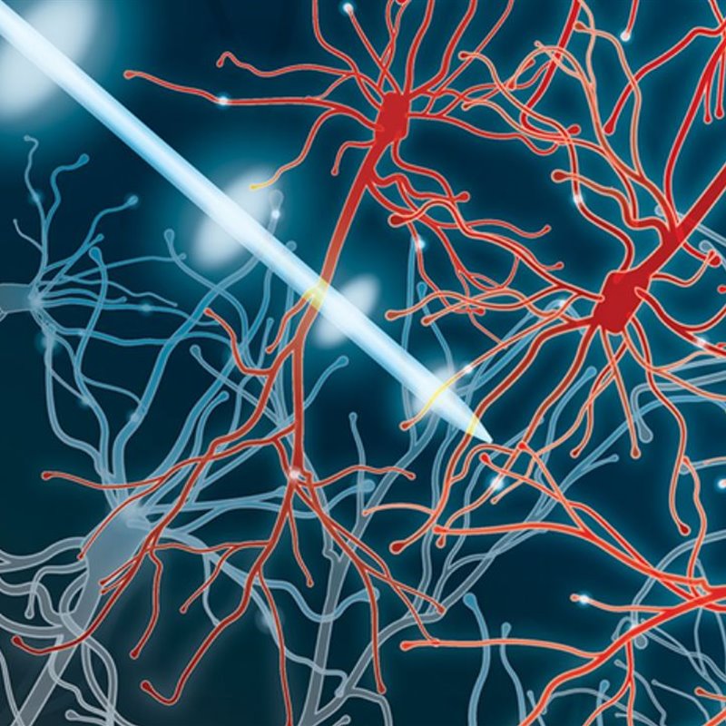LA EPC emplea pulsos de estimulación eléctrica para modular respuestas neuronales 