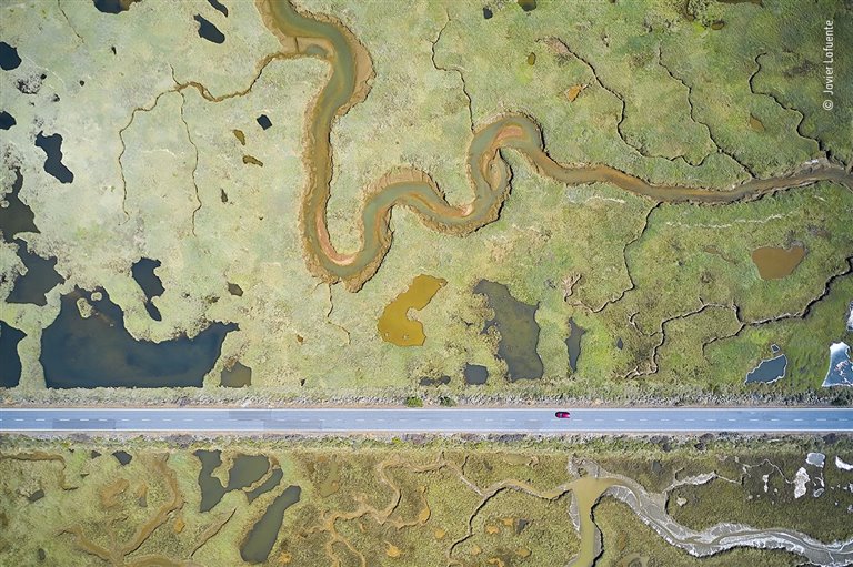 Las mejores fotos de naturaleza del Wildlife Photographer of the Year 2021