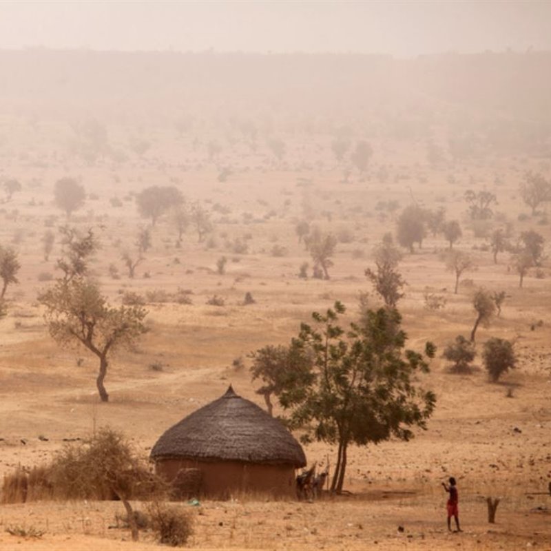La Gran Muralla Verde del Sahel: convertir de forma rentable un desierto en un vergel 