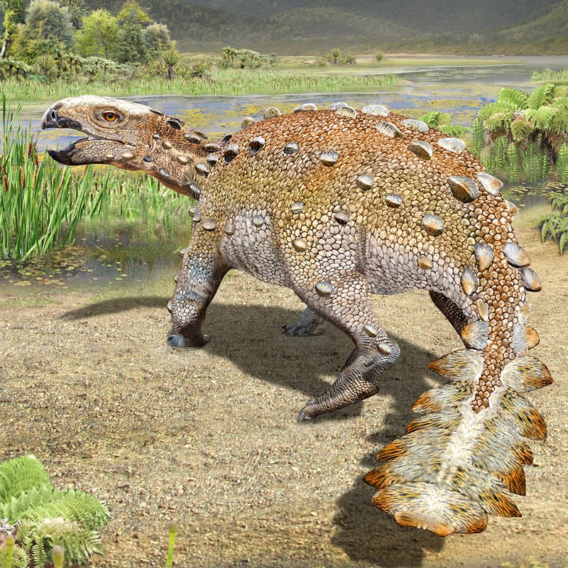 Descubren una nueva especie de anquilosaurio en Chile 