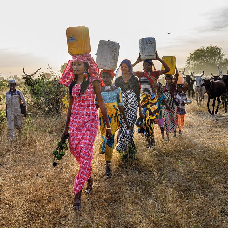 Chad: unir conocimientos en pro de la resiliencia