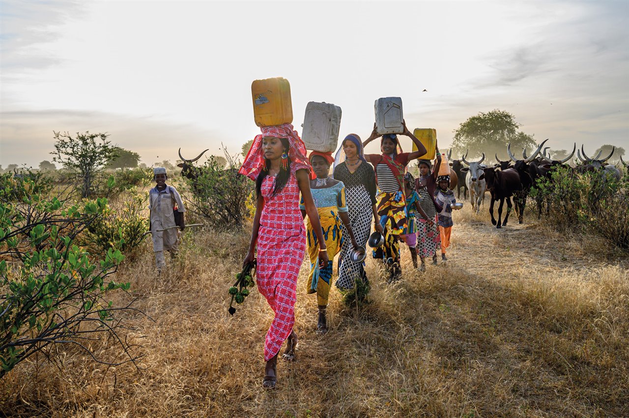 Chad: unir conocimientos en pro de la resiliencia