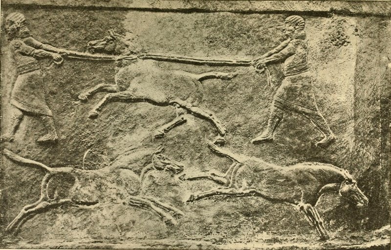 Relieve de Nínive. 645-635 a.C. Museo Británico de Londres 