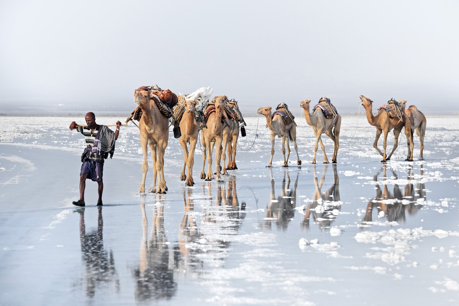 afar-ethiopia_a311afdb_1500x1002.jpg