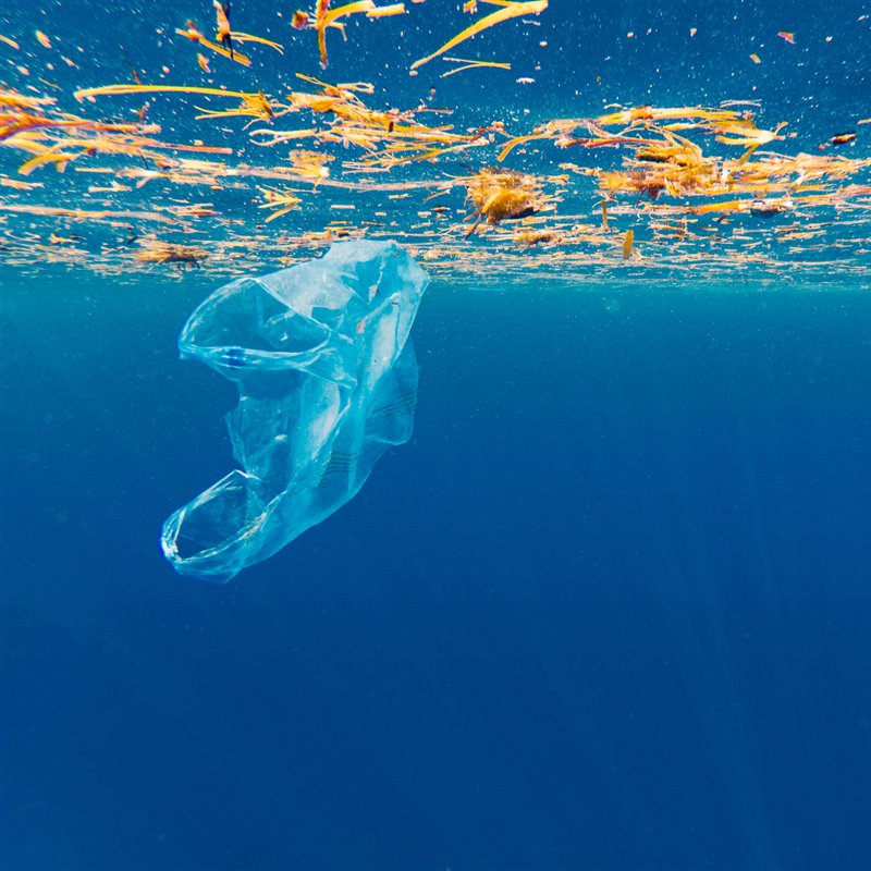 El reciclaje del plástico, una asignatura pendiente a nivel global