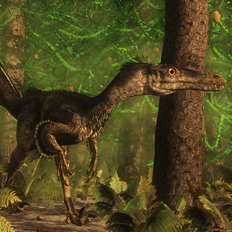 ¿Cuánto sabes sobre el velociraptor?