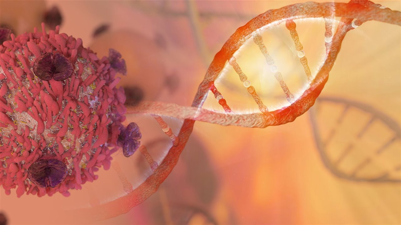 Conocer el genoma humano al completo permitirá desarrollar nuevos tratamientos contra ciertas enfermedades.