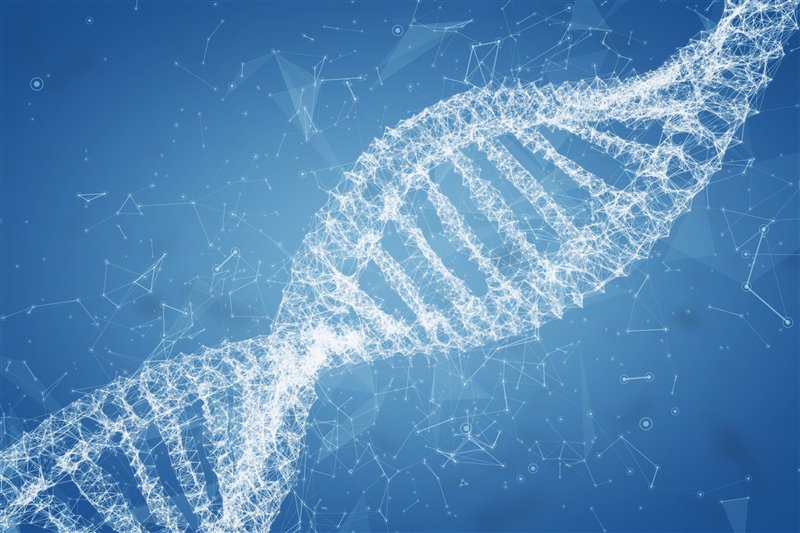 Más de la mitad del genoma humano contiene secuencias repetitivas de ADN cuyas funciones aún no se conocen del todo.