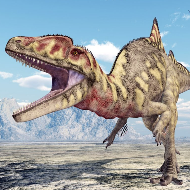 Encontradas las huellas de un dinosaurio cojo en la serranía de Cuenca