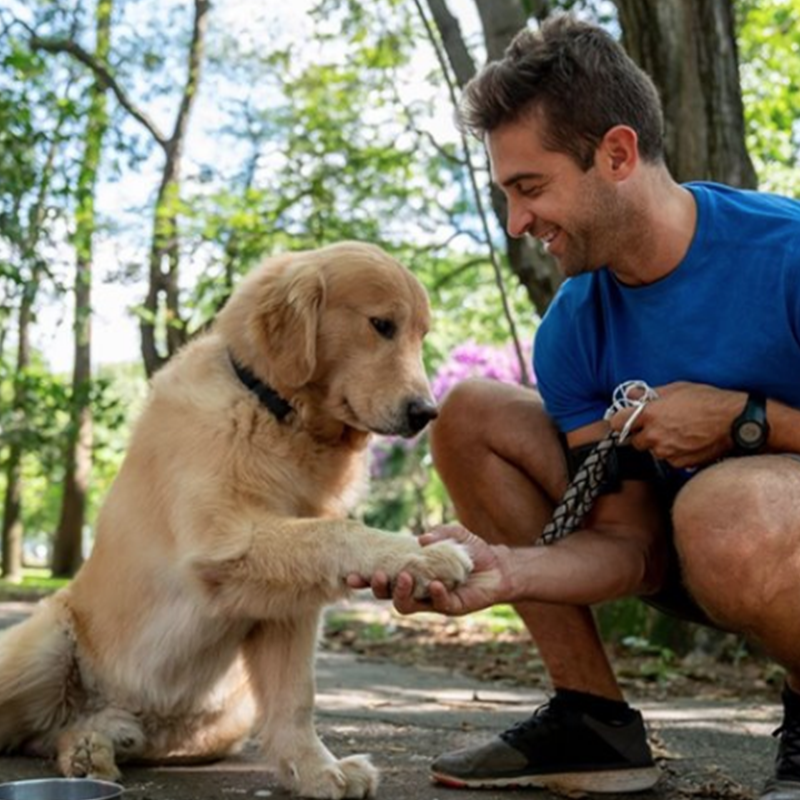 los perros ven mejor que los humanos