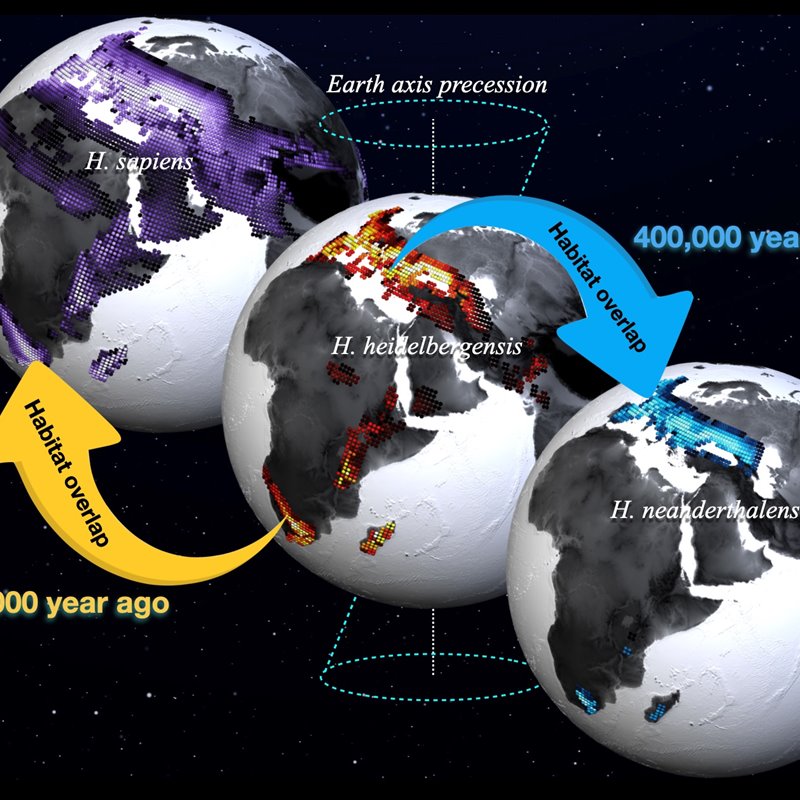El clima ha condicionado la distribución de los homínidos durante los últimos 2 millones de años
