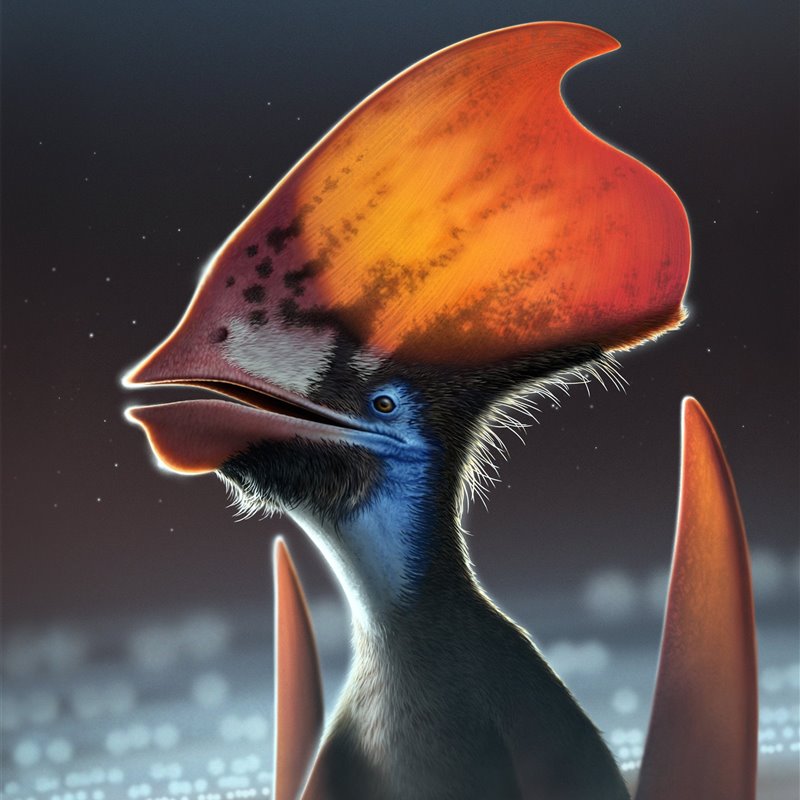 Las plumas primitivas de los pterosaurios ya exhibían colores exuberantes