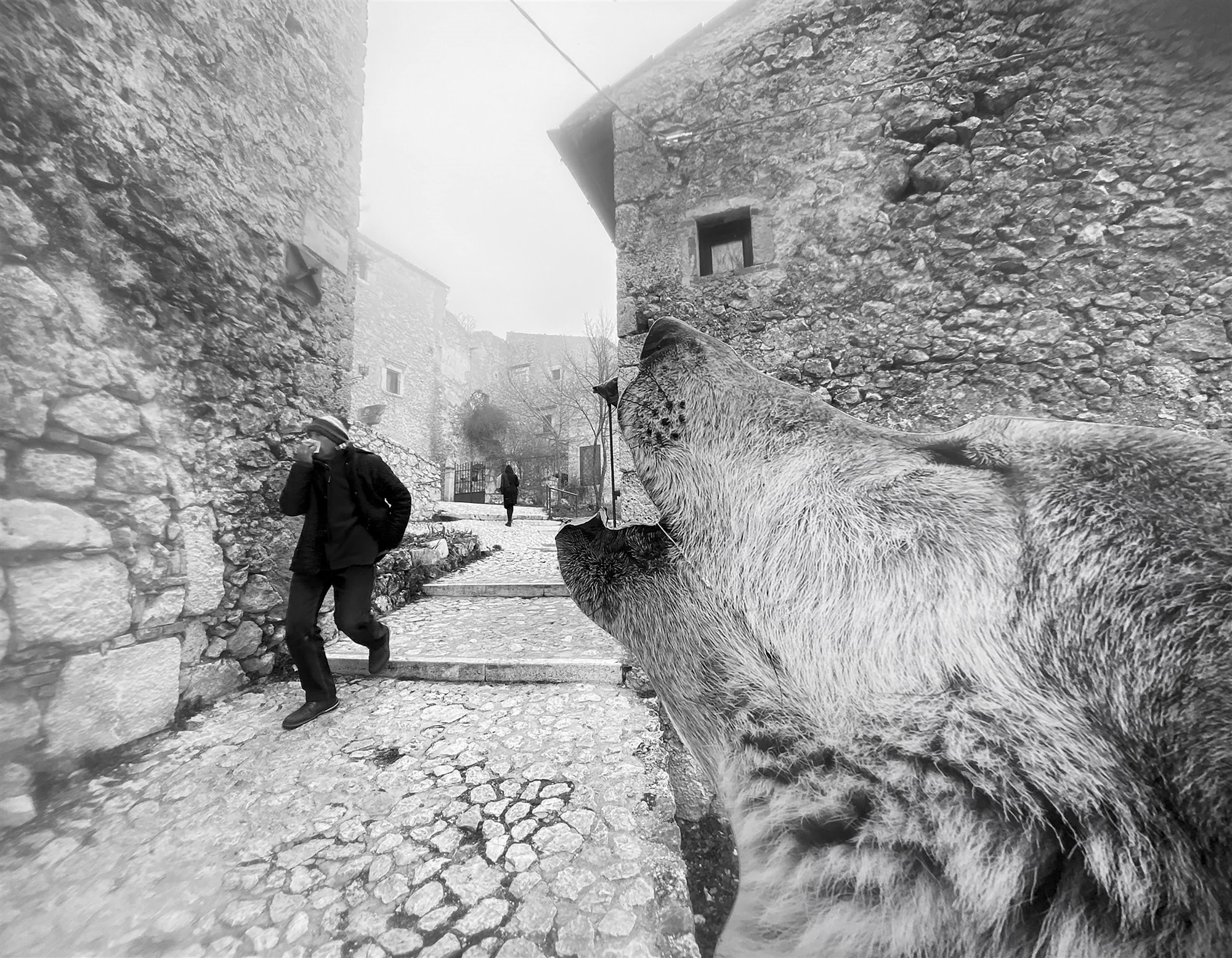 a-silent-howl-rocca-calascio-italy_b3e8cde3_2000x1555.jpg