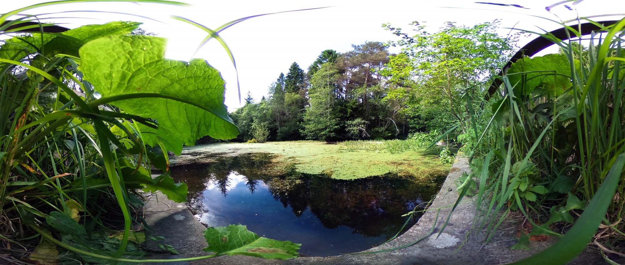 Internet of Nature Proyect With Interactive 360 Google Street View I
