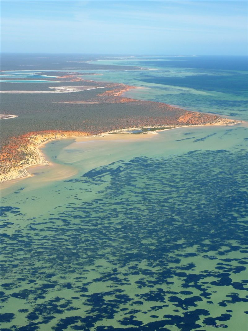 Shark Bay, Australia