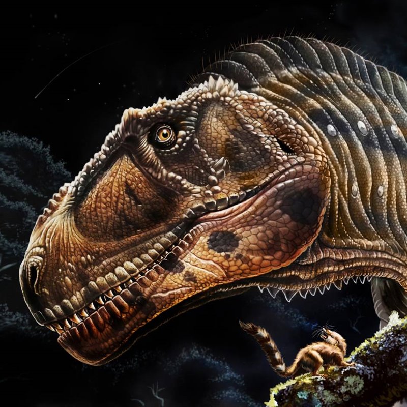 Meraxes Gigas, el nuevo dinosaurio gigante de la Patagonia Argentina