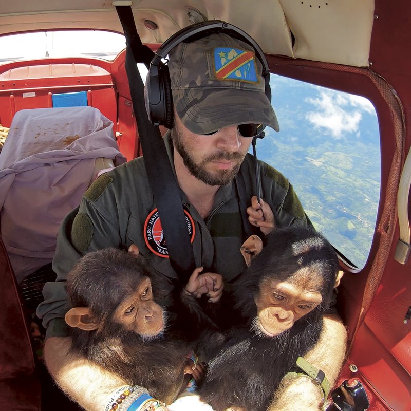Salvar a los chimpancés y hallar esperanza en medio del caos