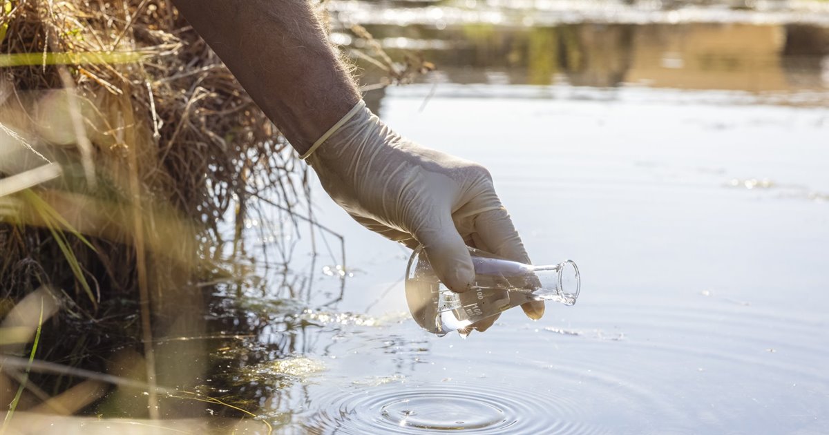 El plástico fomenta el crecimiento de bacterias en lagos