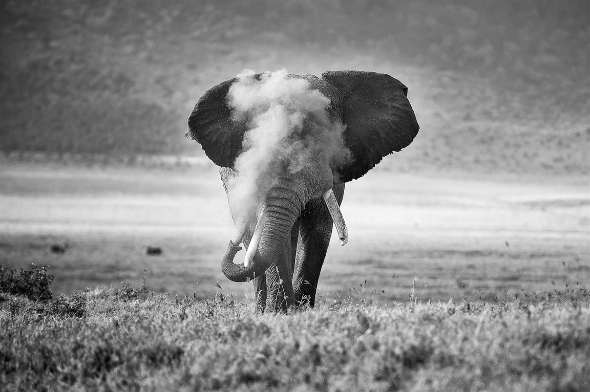 Conoce a los ganadores del Nature TTL Photographer of the Year 2022