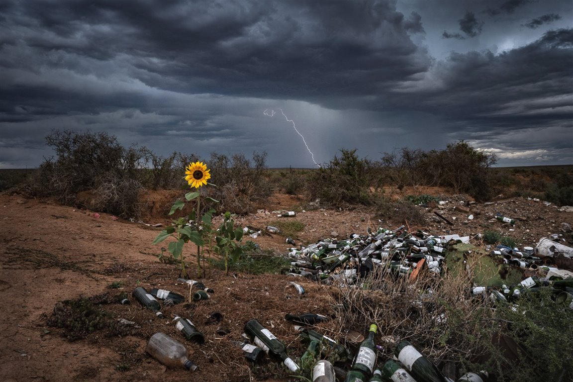 Conoce a los ganadores del Nature TTL Photographer of the Year 2022