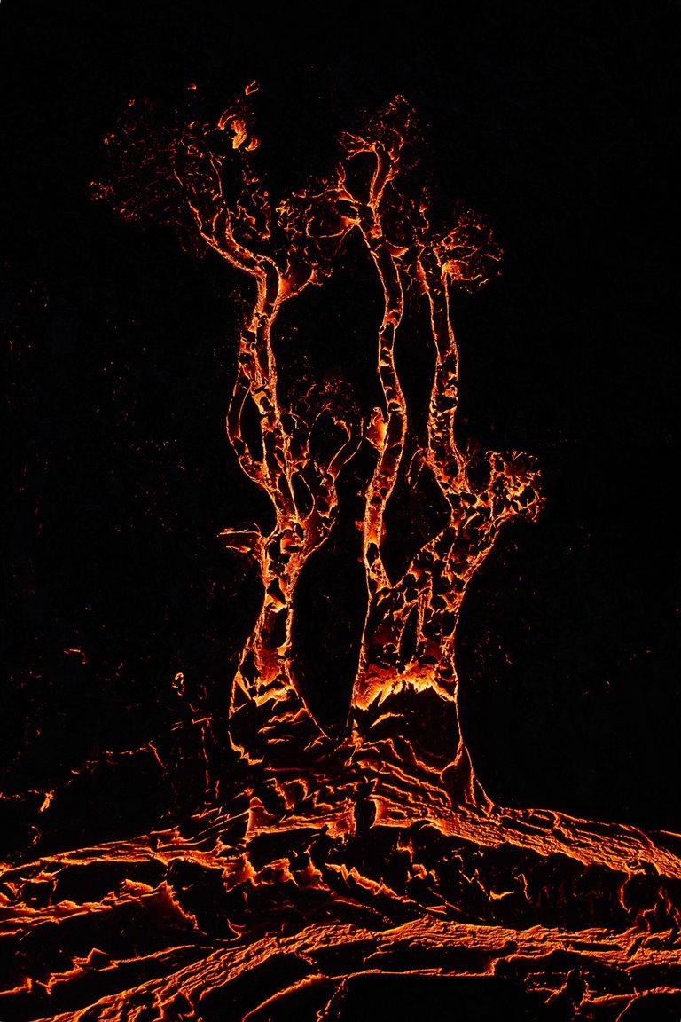 Conoce a los ganadores del Nature TTL Photographer of the Year 2022