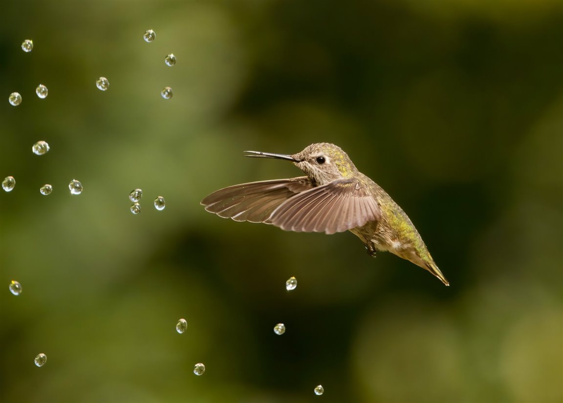 Imagen del concurso de fotografía