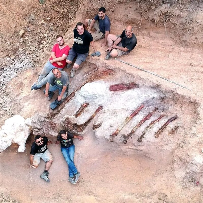Encuentran los fósiles del que podría ser el dinosaurio más grande de Europa