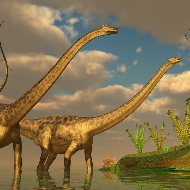 Las posibles y curiosas estrategias de reproducción de los dinosaurios
