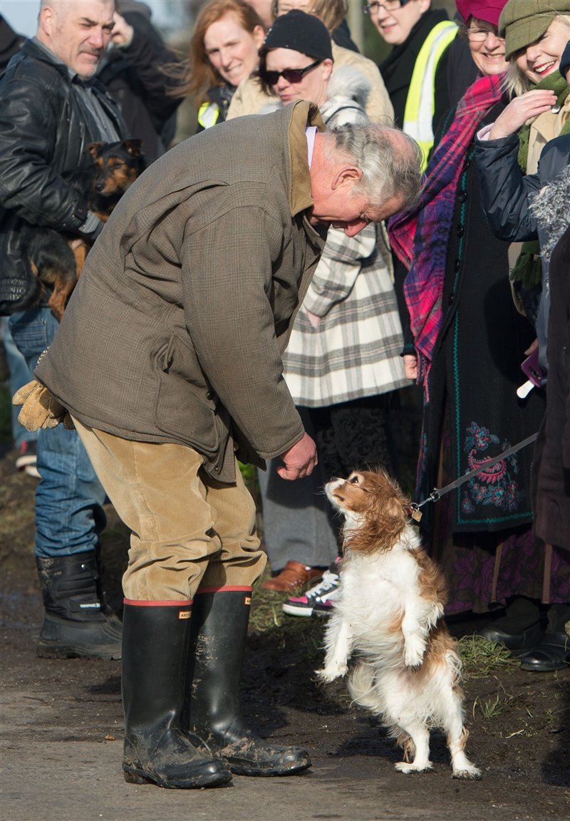 El rey del Reino Unido, Carlos III, saluda a un perro durante su visita a las comunidades afectadas por las inundaciones en Somerset en 2014.