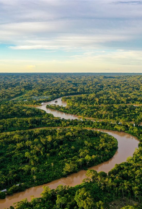 Amazonas al límite, 10 amenazas que demuestran que corre un grave peligro 