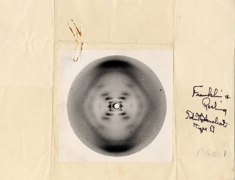 Fotografía 51. Imagen de la estructura del ADN obtenida mediante diracción de rayos X en 1952