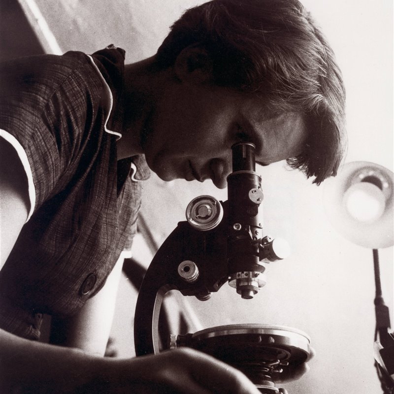 Rosalind Franklin, la verdadera descubridora de la forma del ADN