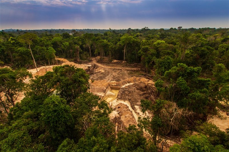 Explotación minera ilegal en Pará, Brasil. 