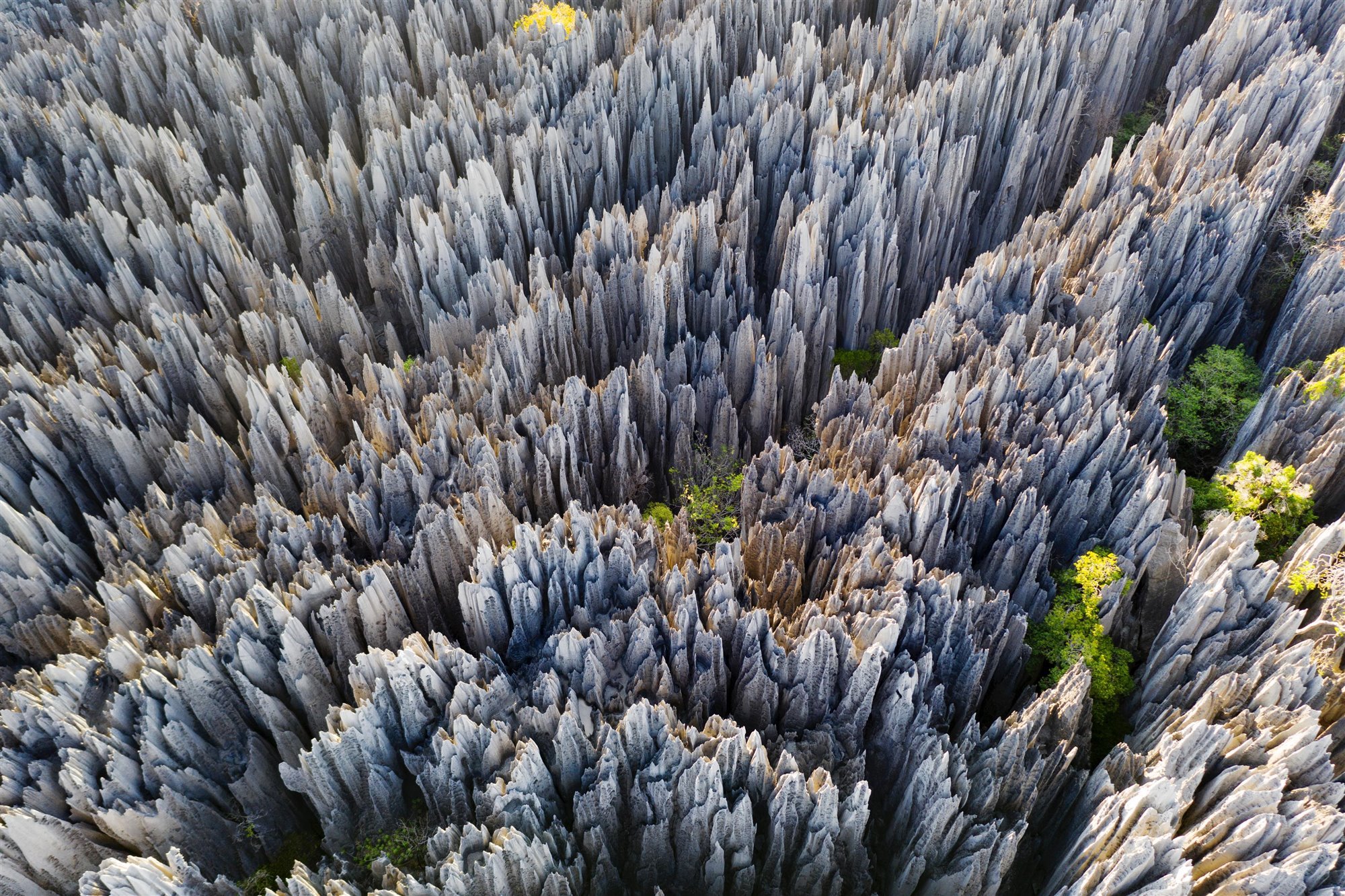 Los pináculos de la reserva Tsingy de Bemaraha