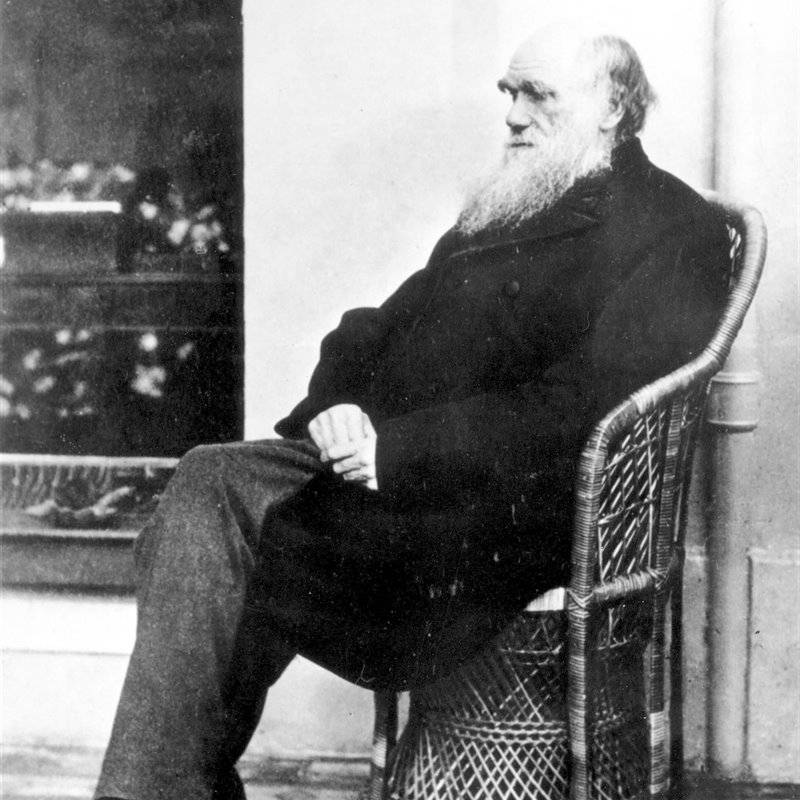 Darwin, el padre de la teoría de la Evolución