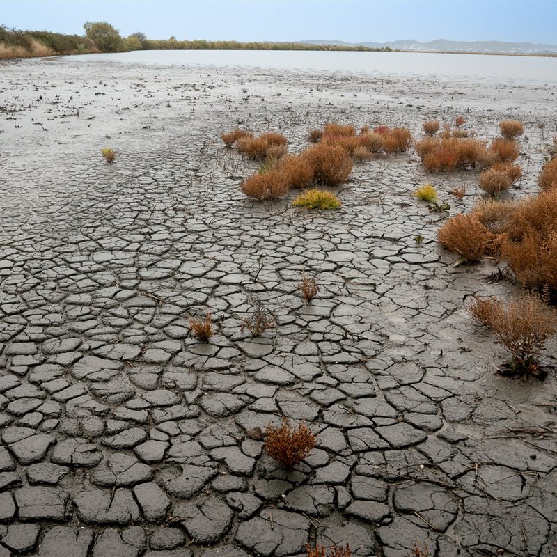 El incierto futuro de los humedales en el Mediterráneo