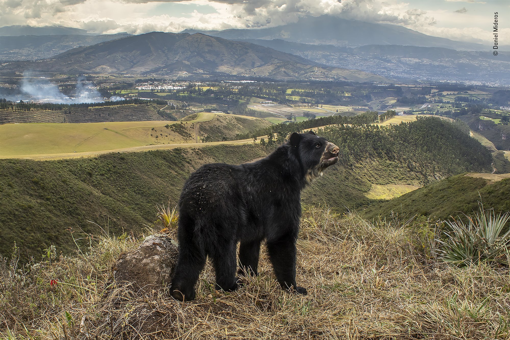 Las mejores fotos de naturaleza del Wildlife Photographer of the Year 2022