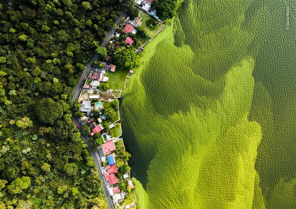 Las mejores fotos de naturaleza del Wildlife Photographer of the Year 2022