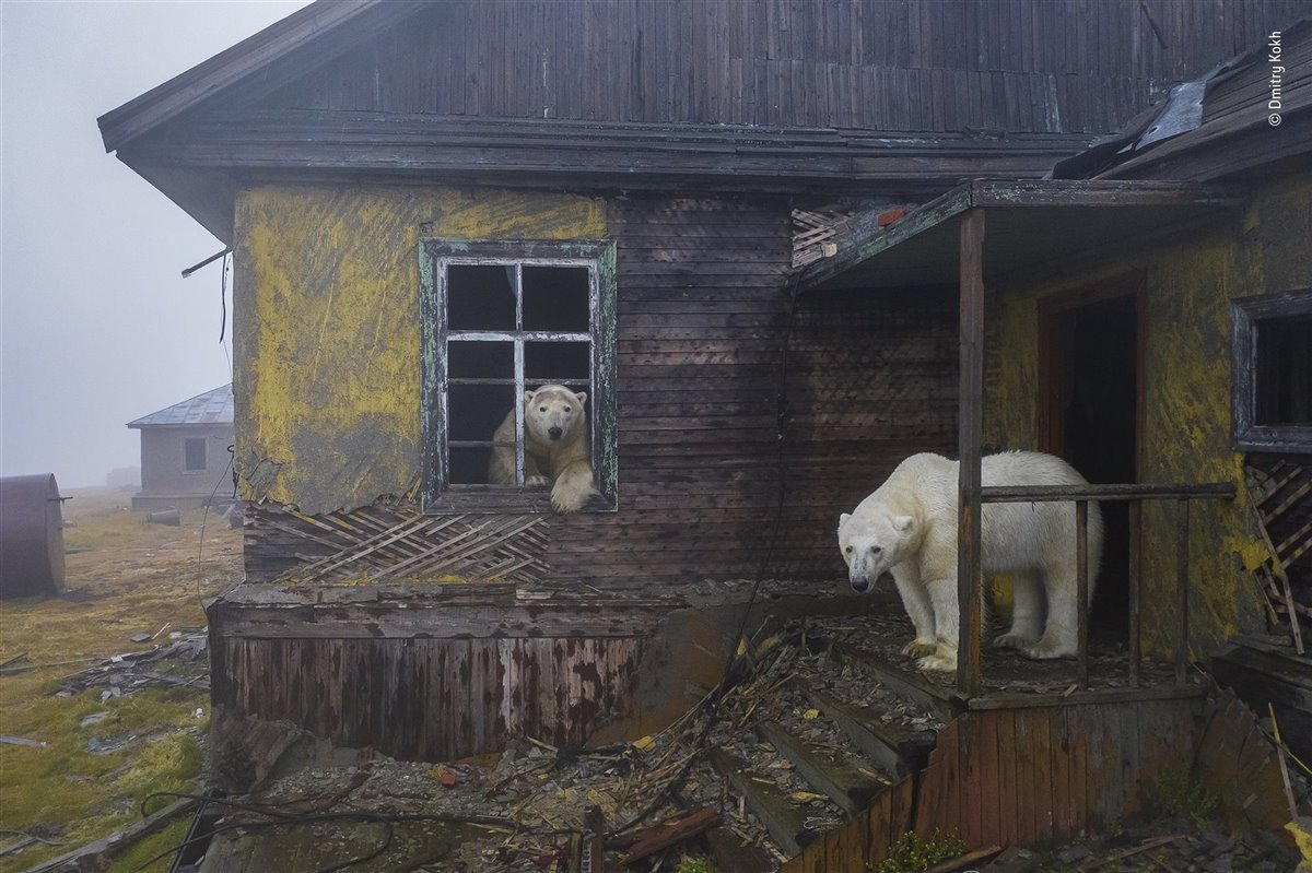 Las mejores fotos de naturaleza del Wildlife Photographer of the Year 2022