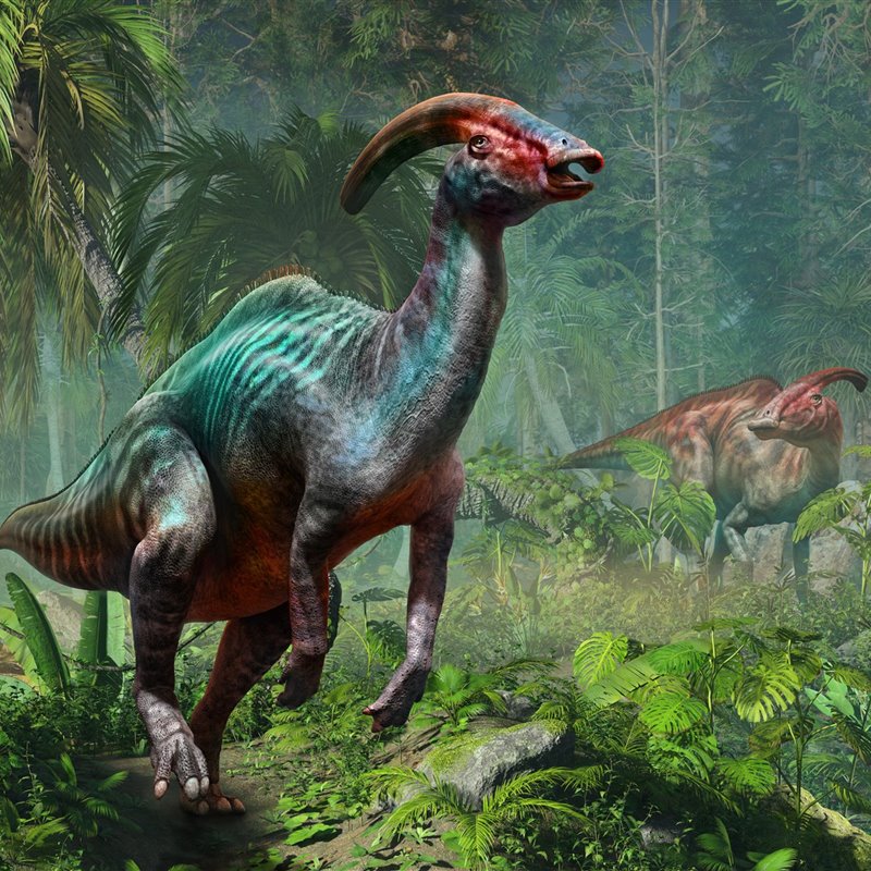 Hadrosáuridos, los curiosos dinosaurios con pico de pato y cresta